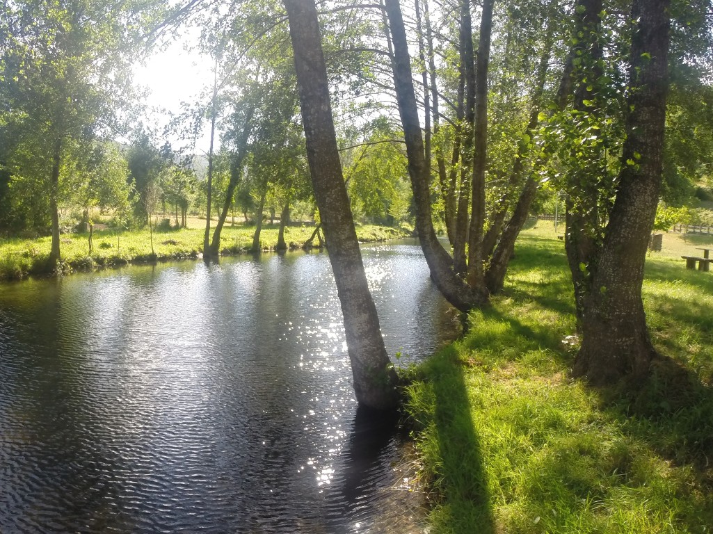 Praia Fluvial de França sobre o rio Sabor, com o parque de merendas arborizado